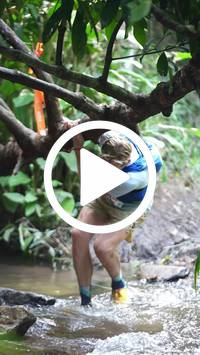 BIB:  <button type="button" onclick="openModal(27505590)" class="btn btn-primary btn-sm float-right" data-toggle="modal" data-target=".modal-high-quality">
                <i class="fa fa-download"></i> Download
                </button>